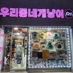 우리동네개냥이