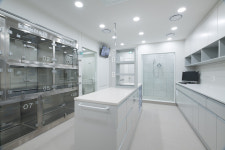 포항보담동물병원