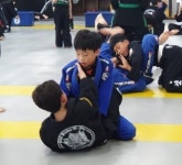 효백호합기도