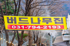 버드나무집