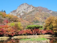 지리산 로시난테하우스