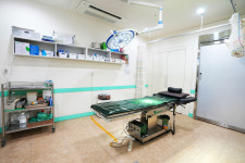 파티마외과의원