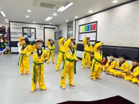 푸른경희대태권도
