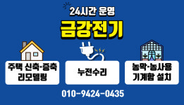 금강전기