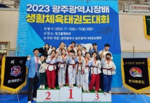 번개태권도