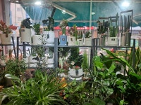 쩡아네정원 부천