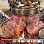 돼지영농후계자 팔등로점
