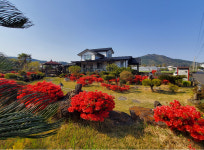 올레벗 게스트하우스