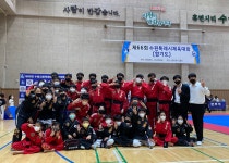 무림합기도 주짓수