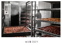 금왕센추리