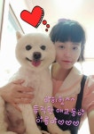 펫살롱 꽃단장