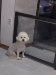 더예쁘개