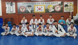 금빛태권도