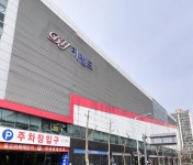 화이트모터스