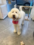 유독이쁨