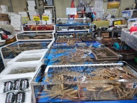 수산 중도매인 150번