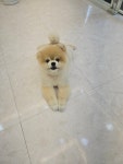 베르펫살롱