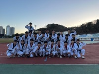 태비태권도 무혼입시센터