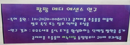 큐사랑 광교점