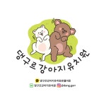 댕구르 강아지애견유치원미용호텔