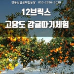 맛동산감귤체험농장