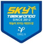 용인대스카이태권도