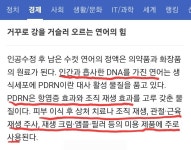 큐사랑 광교점