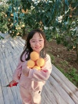 희진성산감귤체험농장