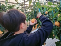 희진성산감귤체험농장