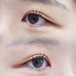 브리지데이