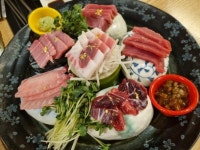 하나미 참치 일식요리