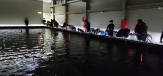 용인락실내바다낚시터