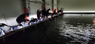 용인락실내바다낚시터