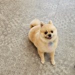 쮸쮸멍