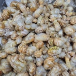 해신생생해물탕