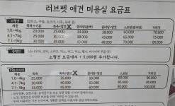 애견미용실러브펫