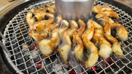 영산강참숯민물장어