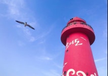 통큰동호네