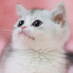 오마이프렌즈