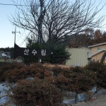 산수림