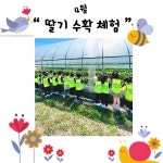 석촌삐아제어린이집