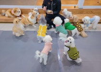 런투독 펫유치원&호텔