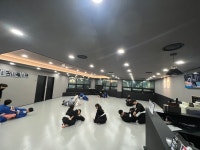 팀 미르 주짓수