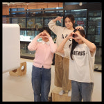 13번째고양이분양카페