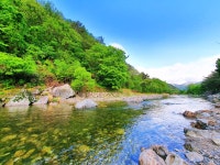 느티나무 캠핑장