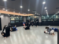 팀 미르 주짓수