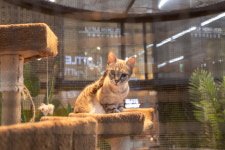 리틀 히어로 ZOO 양산점