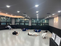 팀 미르 주짓수