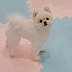 개예쁨주의