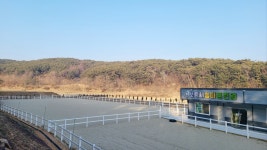 보령시승마센터